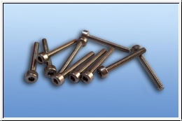 M2,5 x 16 mm stainless steel Allen screws 10 pcs